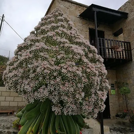 Las Vigas Vivencia Rural-2